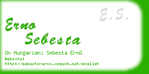 erno sebesta business card