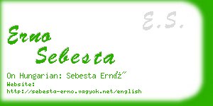 erno sebesta business card